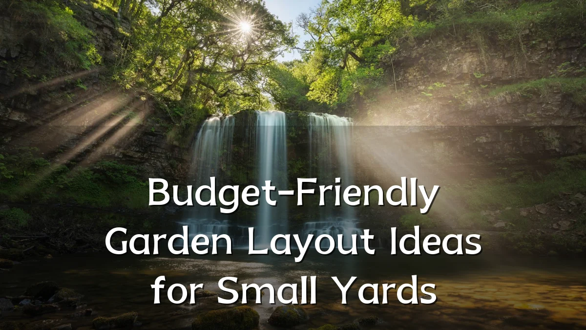 Budget-Friendly Garden Layout Ideas for Small Yards