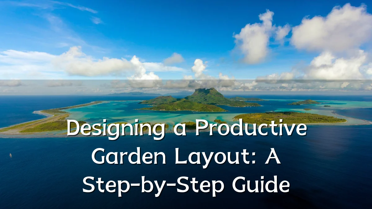 Designing a Productive Garden Layout: A Step-by-Step Guide