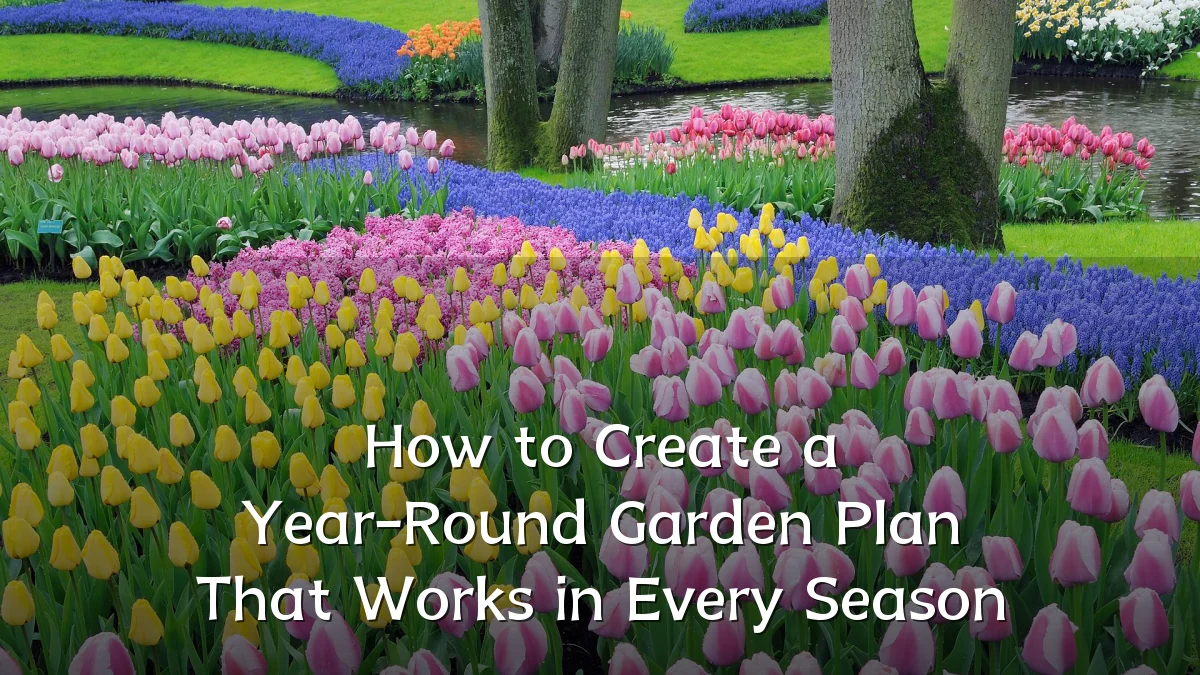 How to Create a Year-Round Garden Plan That Works in Every Season