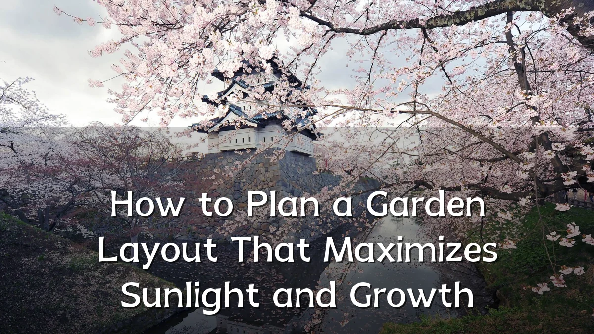 How to Plan a Garden Layout That Maximizes Sunlight and Growth