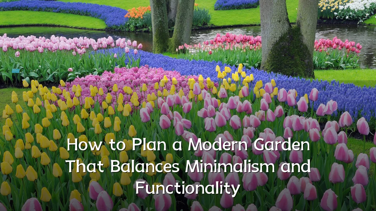 How to Plan a Modern Garden That Balances Minimalism and Functionality